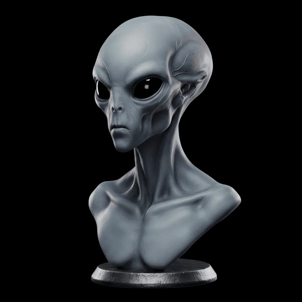 Quad-Remesh input example