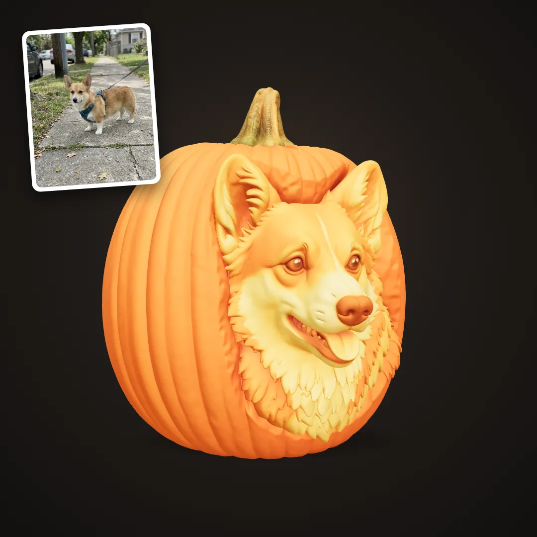 Corgi pumpkin portrait