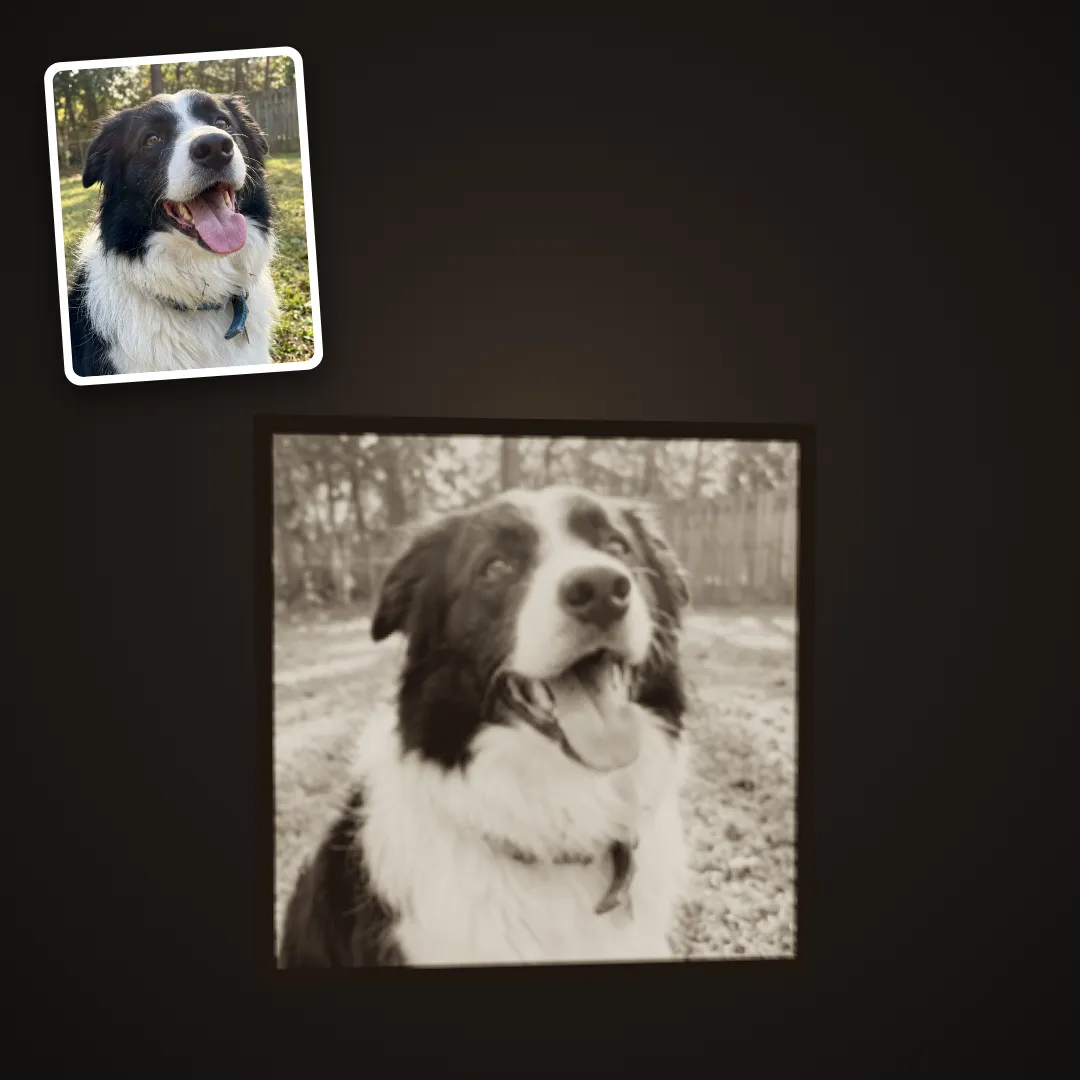 Dog portrait lithophane