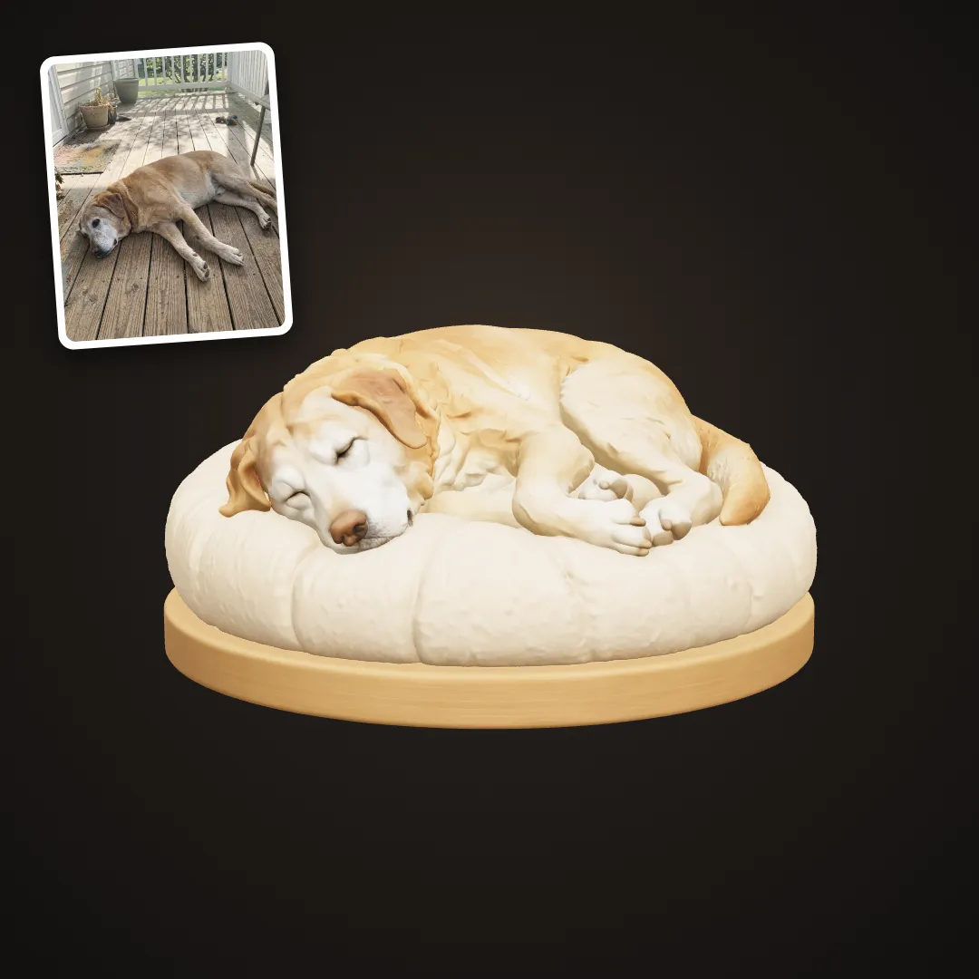 Pet Memorial: example result